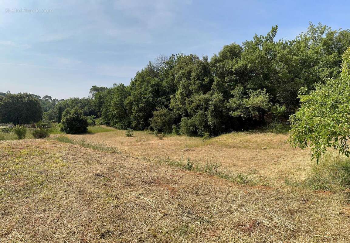 Photo 9 - Maison à BESSE-SUR-ISSOLE