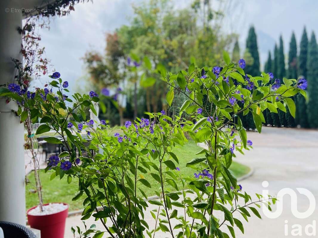 Photo 3 - Appartement à BOUC-BEL-AIR