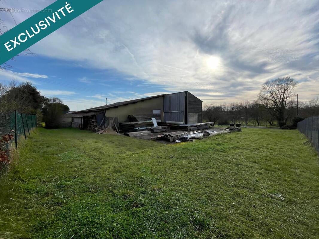 Photo 1 - Terrain à SAINT-HILAIRE-DE-VILLEFRANCHE