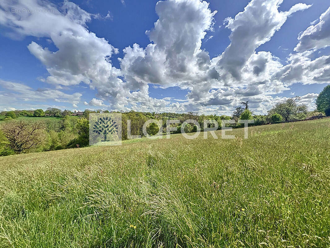 Maison à SAINT-LOUP-LAMAIRE