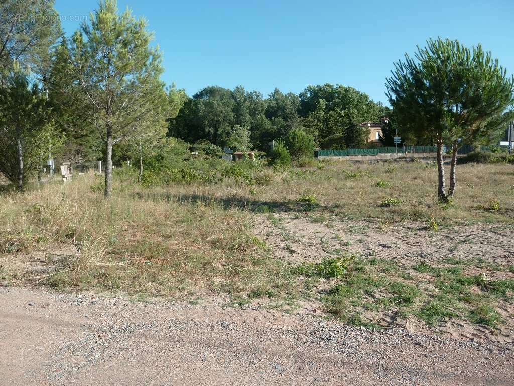 Terrain à CLERMONT-L&#039;HERAULT