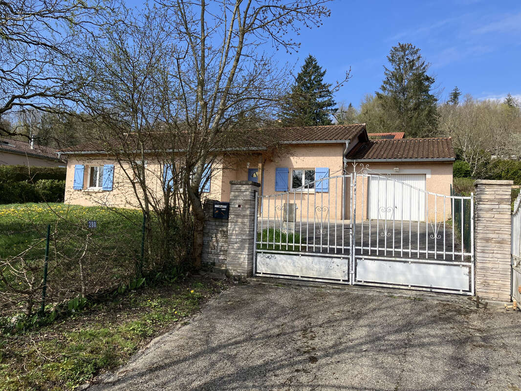 Maison à CHATILLON-LA-PALUD