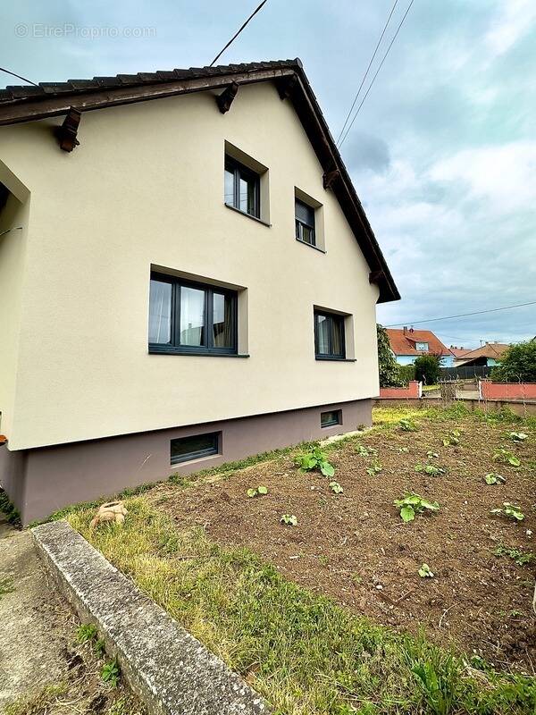 Maison à DETTWILLER