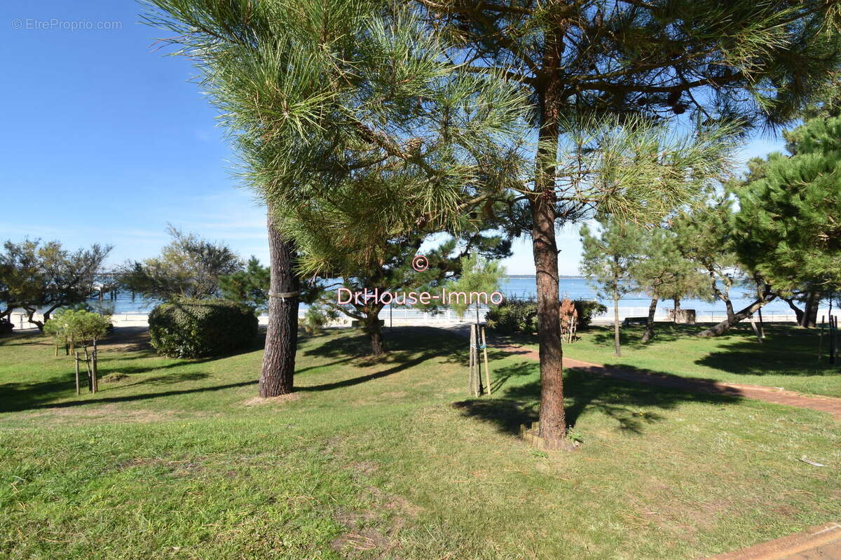 Appartement 23 m² à Arcachon  - photo 63
