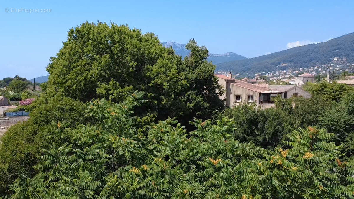 Maison à SOLLIES-VILLE