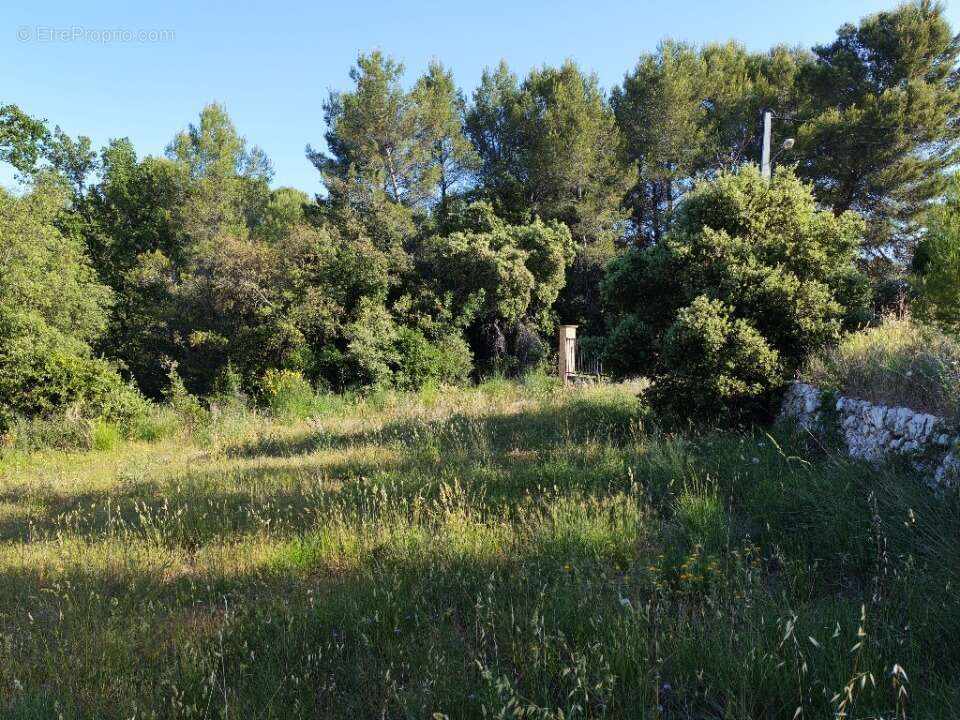 Terrain 677 m² à Lorgues  - photo 9