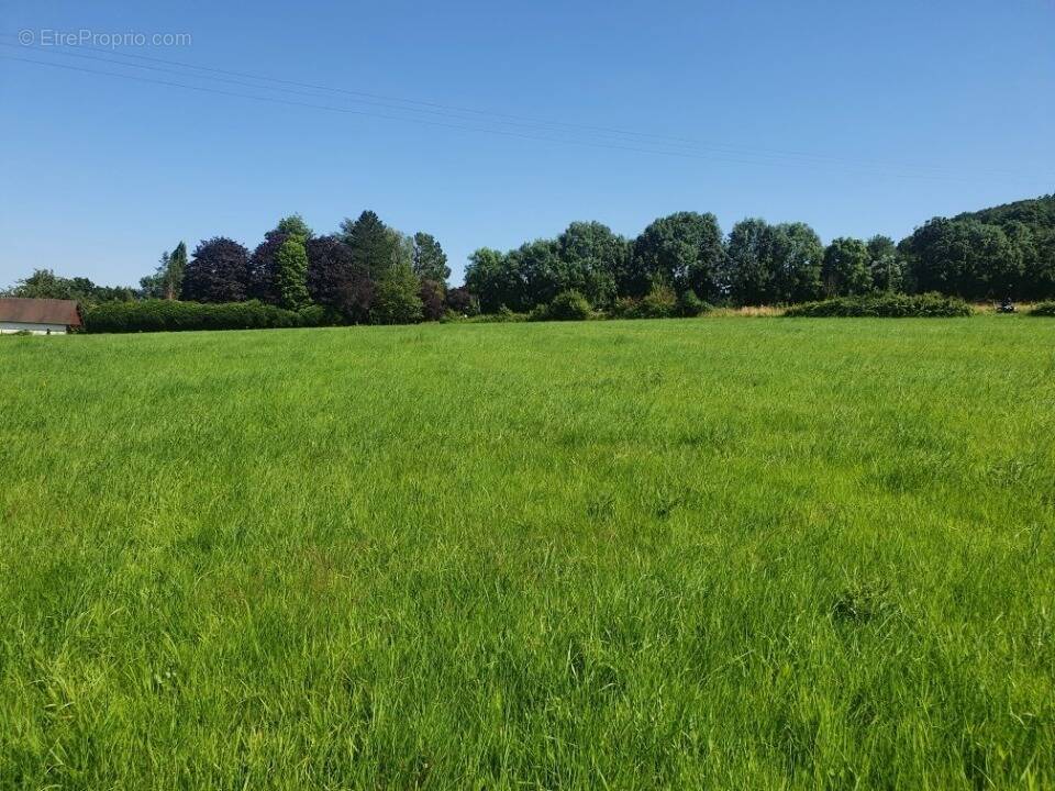 Terrain à TOUTAINVILLE