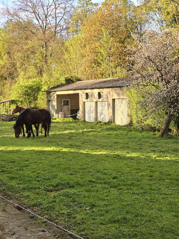 Maison à FLIXECOURT