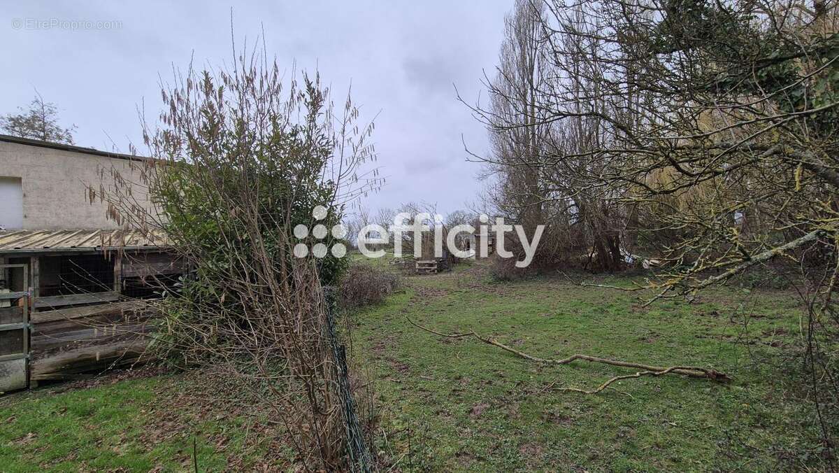 Maison 207 m² à Mandeville-En-Bessin  - photo 10