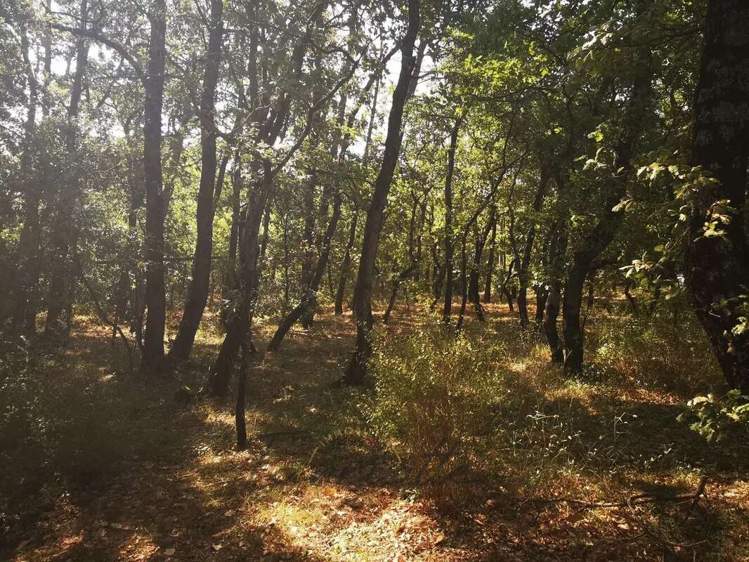 Maison - 10880 - photo 13