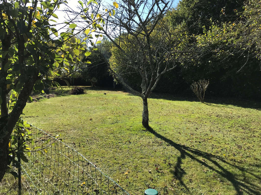 Terrain à TREILLIERES