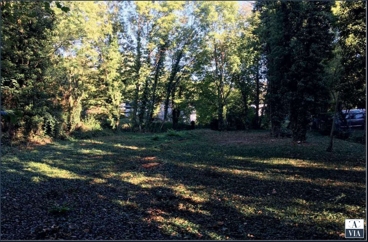 Terrain à STRASBOURG