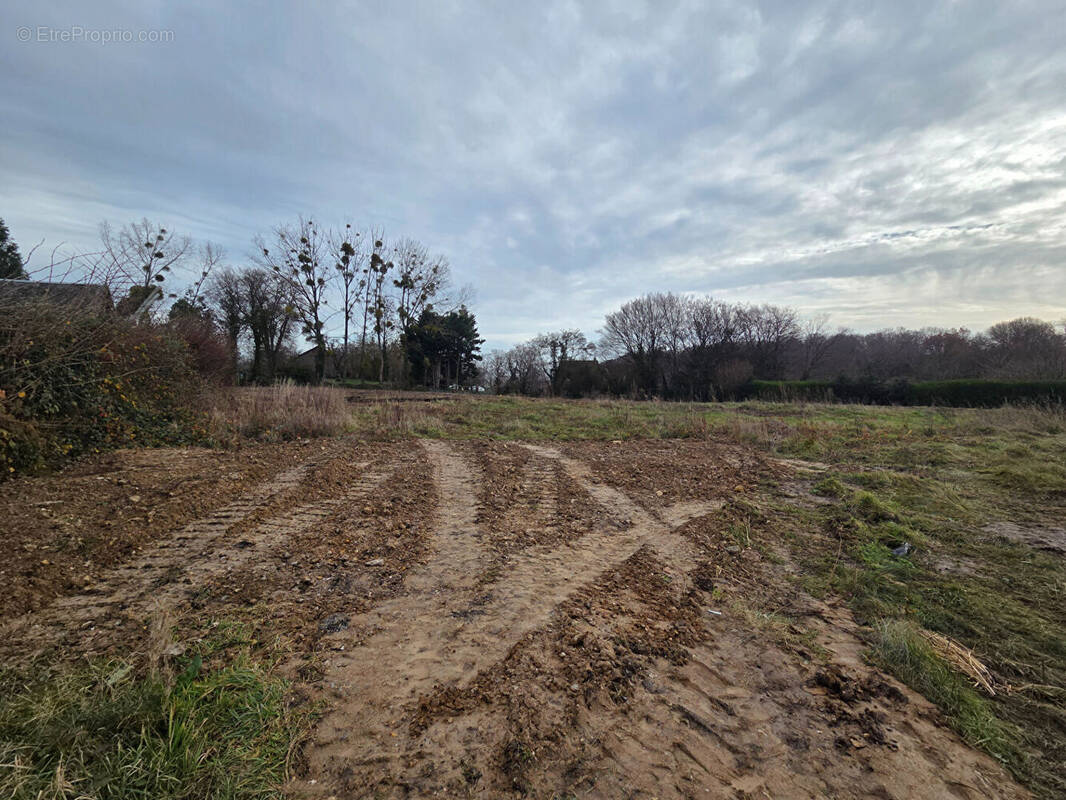 Terrain à LE LANDIN