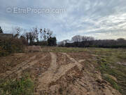 Terrain à LE LANDIN