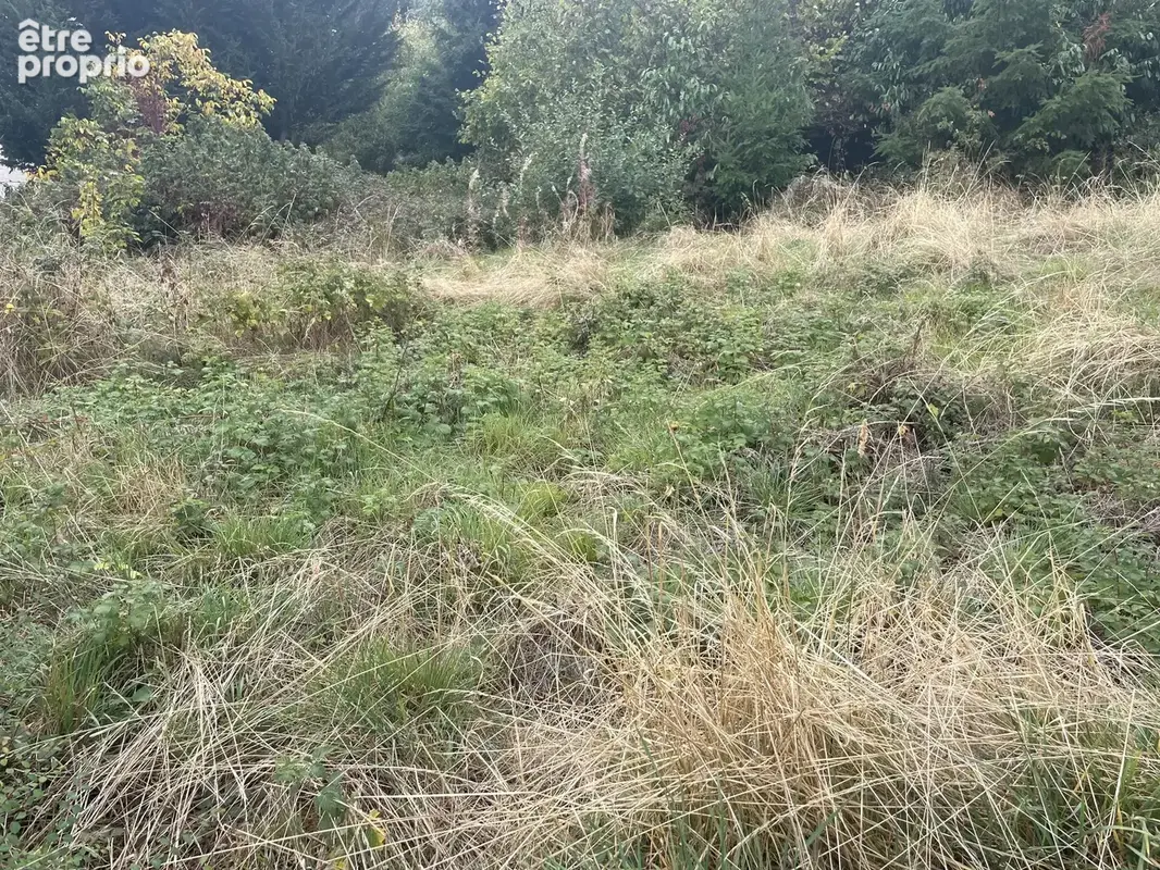 Terrain constructible au calme - photo 7