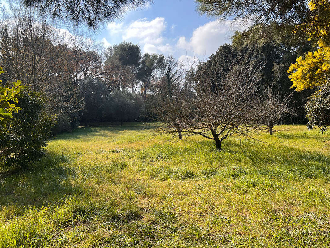 Maison à LA SEYNE-SUR-MER