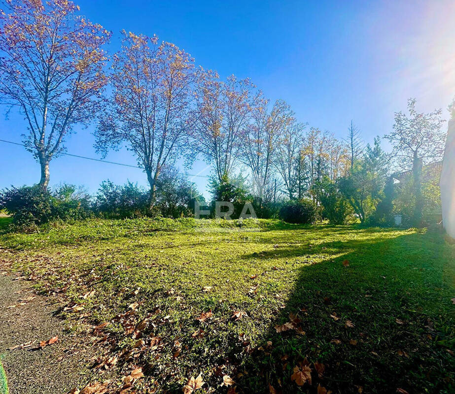 Terrain à GAILLAC
