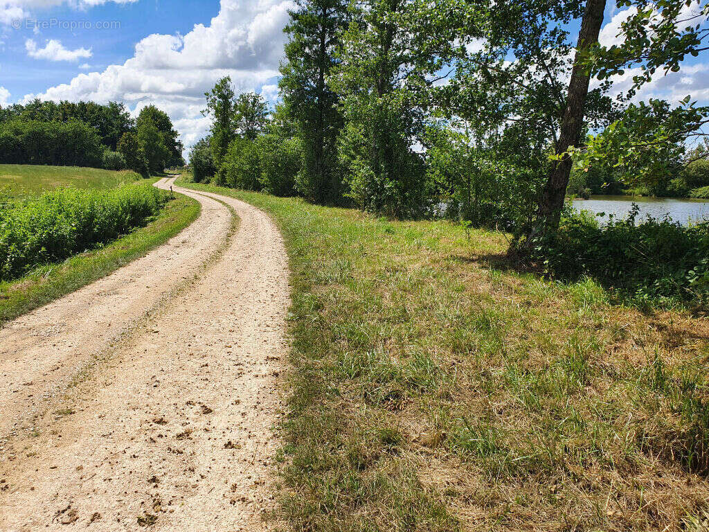 Terrain à LOUHANS
