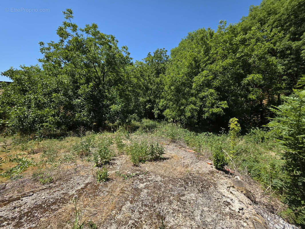 Ensemble immobilier à fort potentiel _ Idéal famille ou investisseur - photo 8