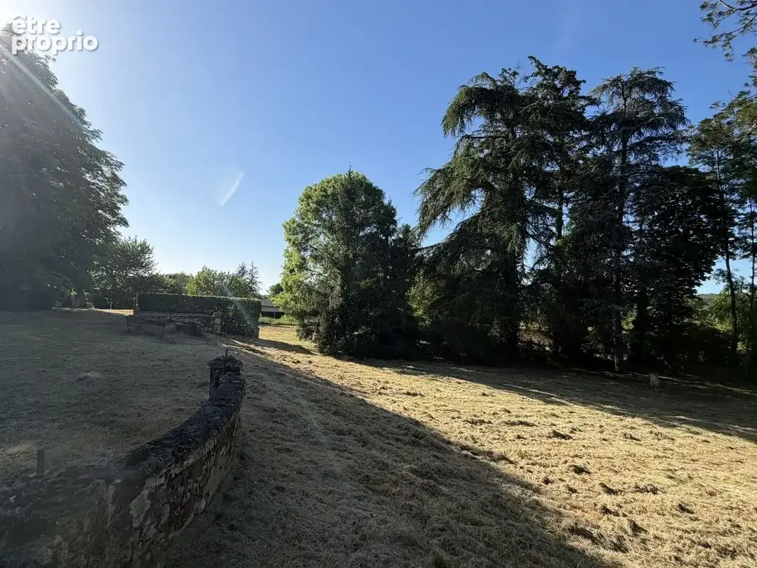 IMG0054
