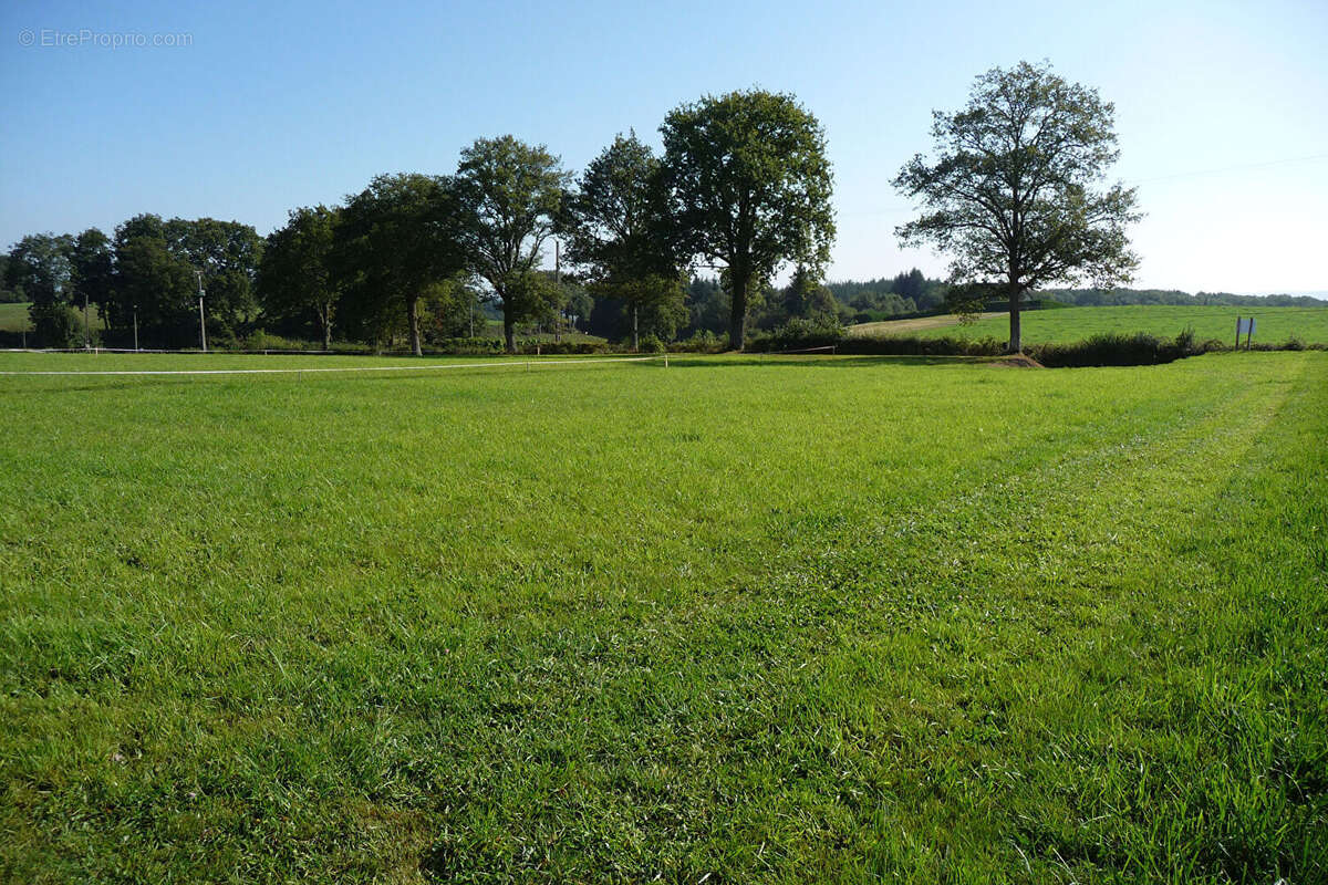 Terrain à GOURLIZON