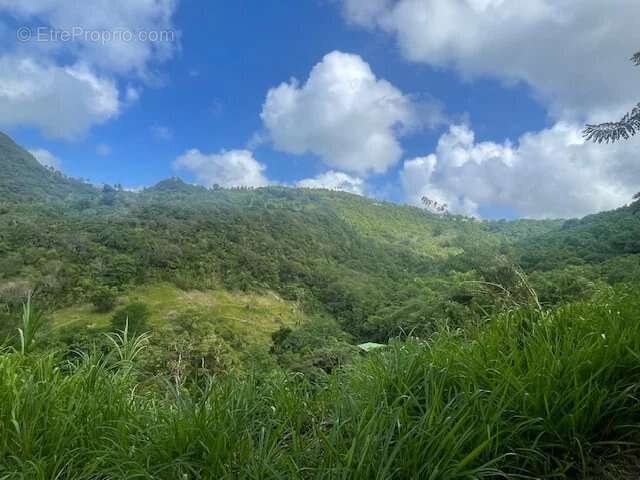 Beau Terrain de 922 m² A Vendre - photo 8