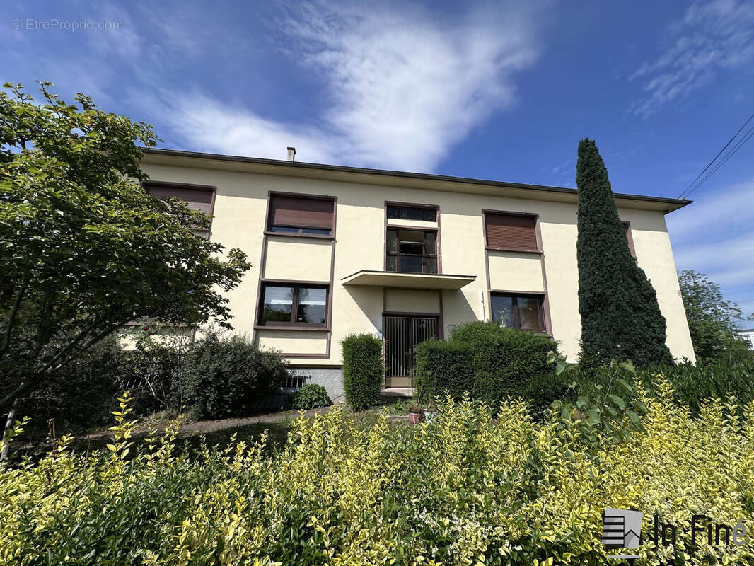Appartement 490 m² à Ostwald  - photo 4