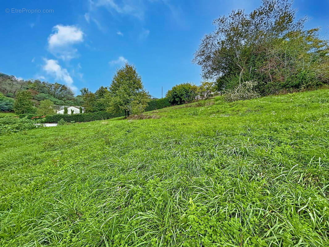 Terrain à BRIVE-LA-GAILLARDE