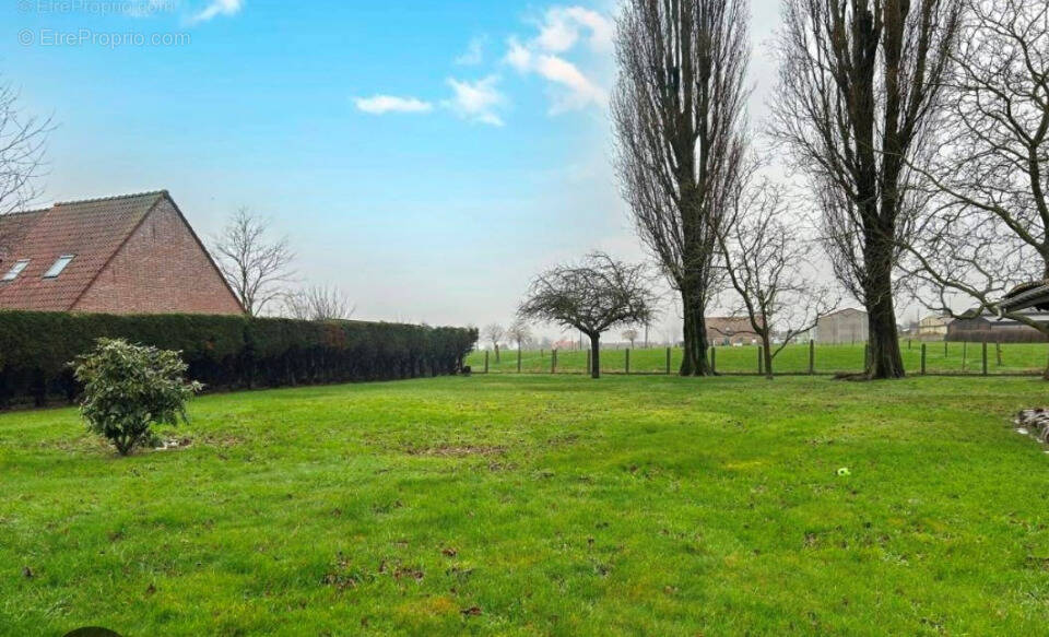 Terrain à MONTIGNY-EN-OSTREVENT