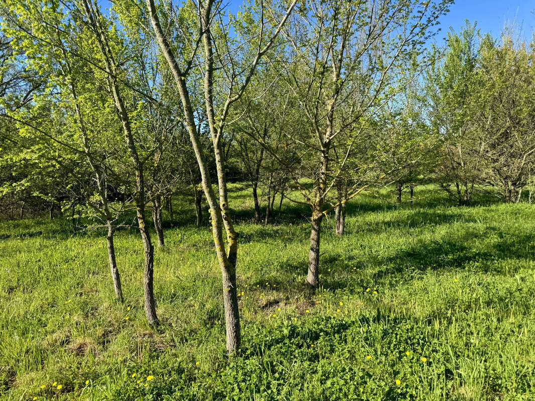 Terrain à LA BRUGUIERE