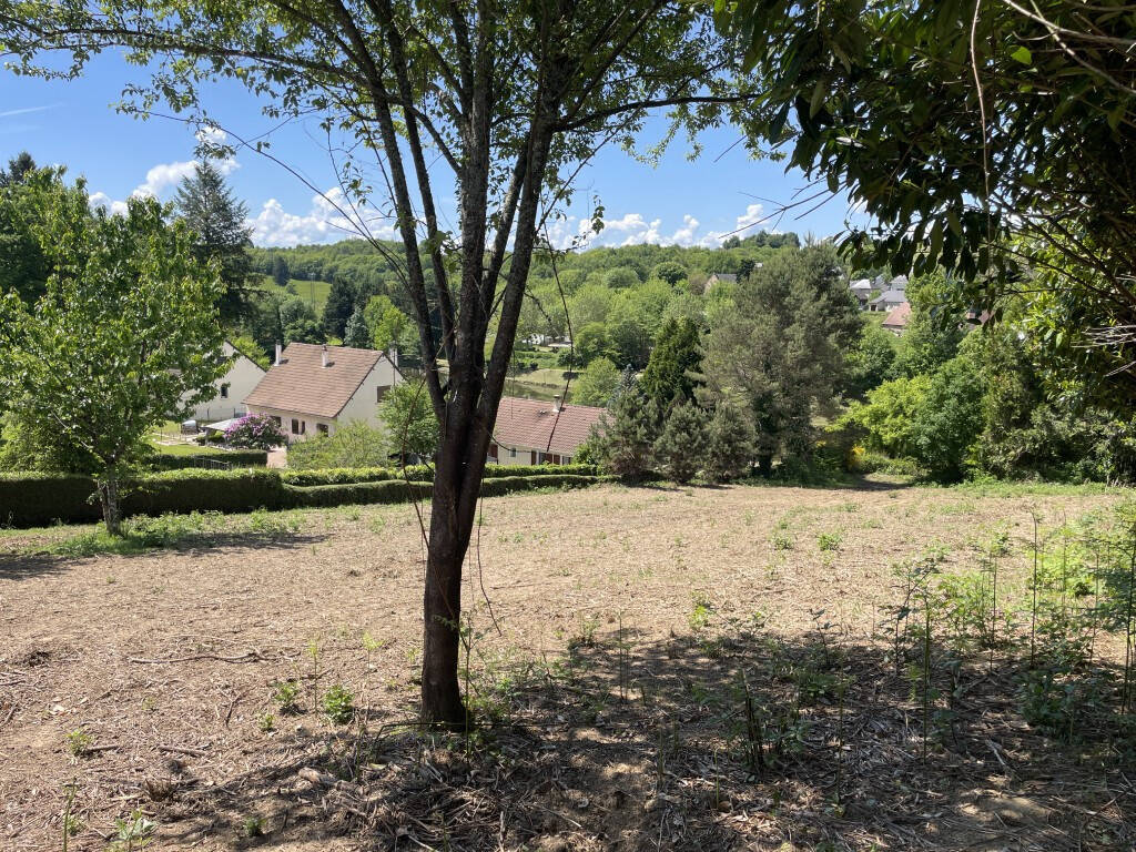 Terrain à SAINT-SORNIN-LAVOLPS