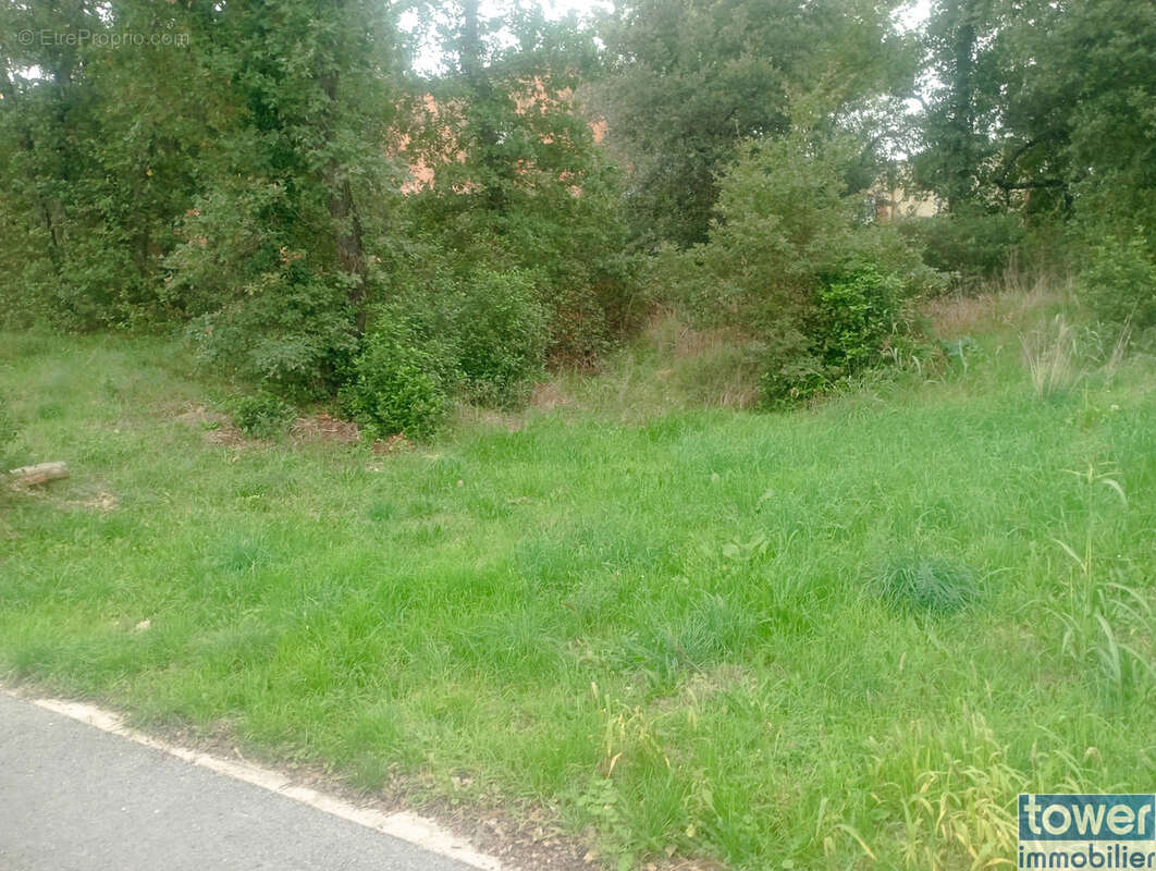 Terrain à BAGNOLS-SUR-CEZE