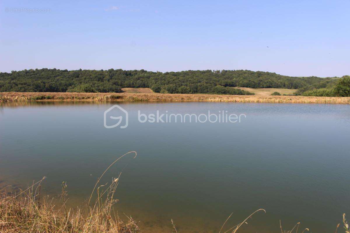 Authenticité et potentiel — Corps de ferme de 1797 sur 7 ha avec lac - photo 18