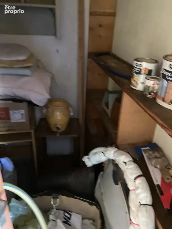 Propriété exceptionnelle en bord de rivière avec 3 appartements, grands garages et magnifique jardin à Axat - photo 35
