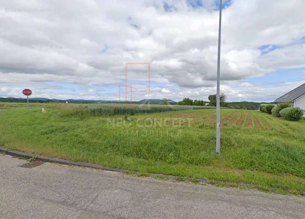 Terrain à FORSTHEIM