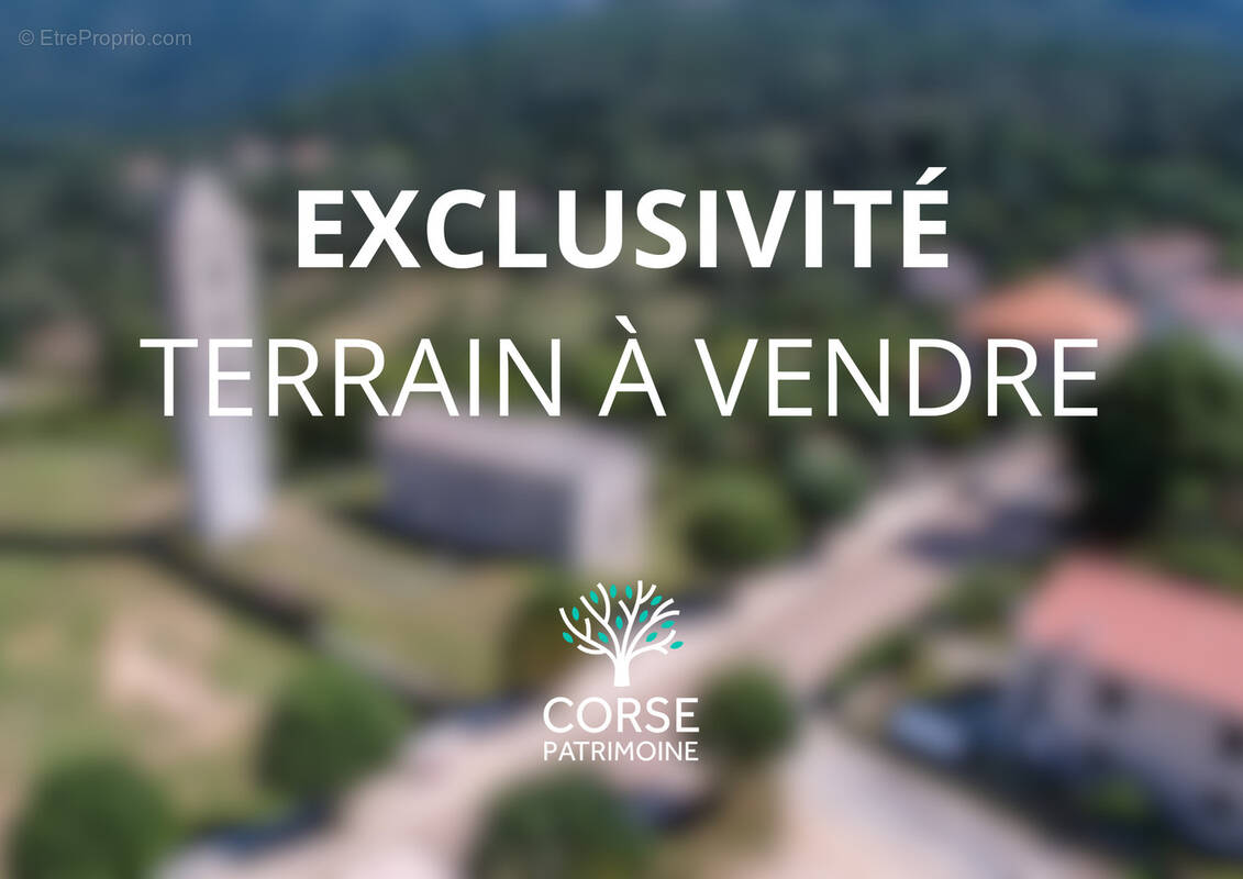 Terrain à CARBINI