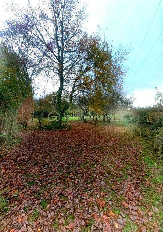 Longère de 210 m² à Courtemaux (45320) - photo 27