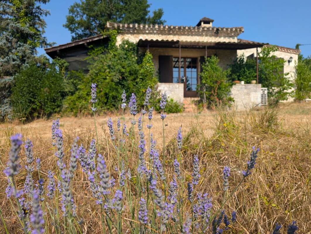 Maison à MONFLANQUIN