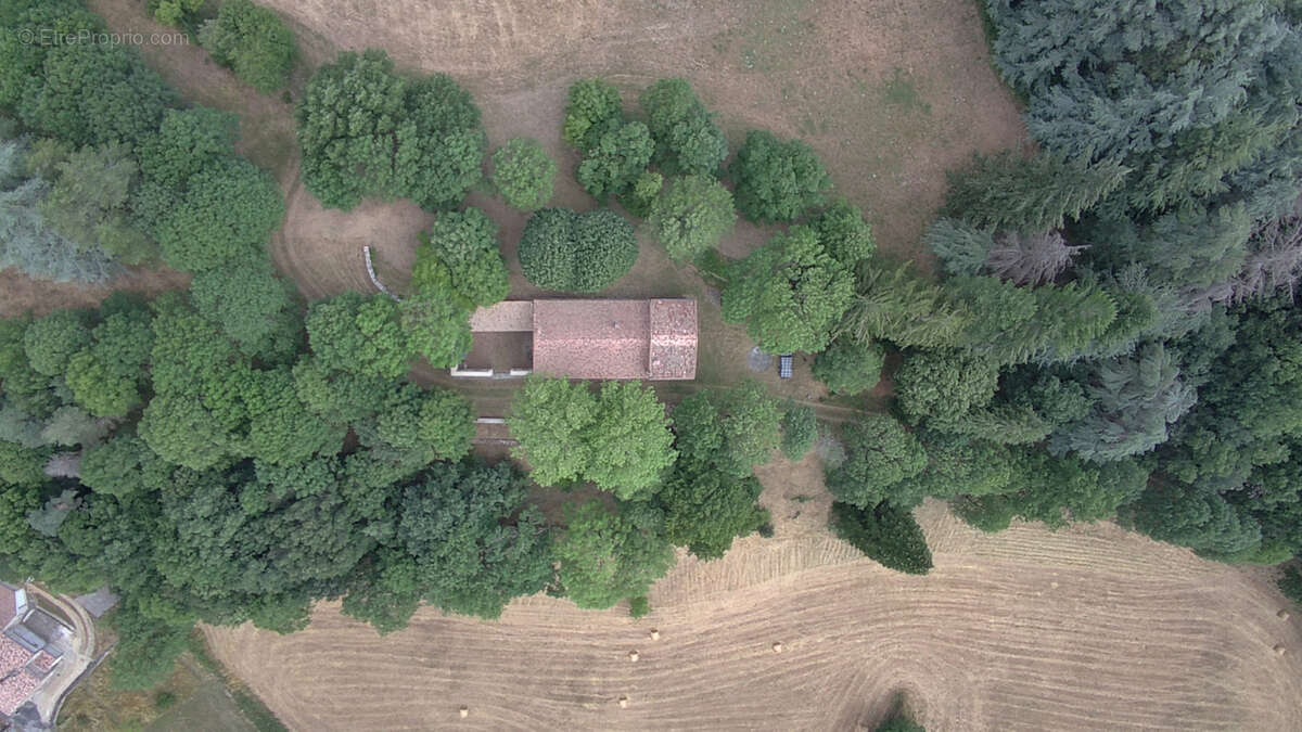 Haute Corbières - 20min de Limoux - Propriété d’Exception avec 98 ha de Forêt et Dépendances - photo 16