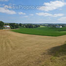 Photo 1 - Terrain à LUXE-SUMBERRAUTE