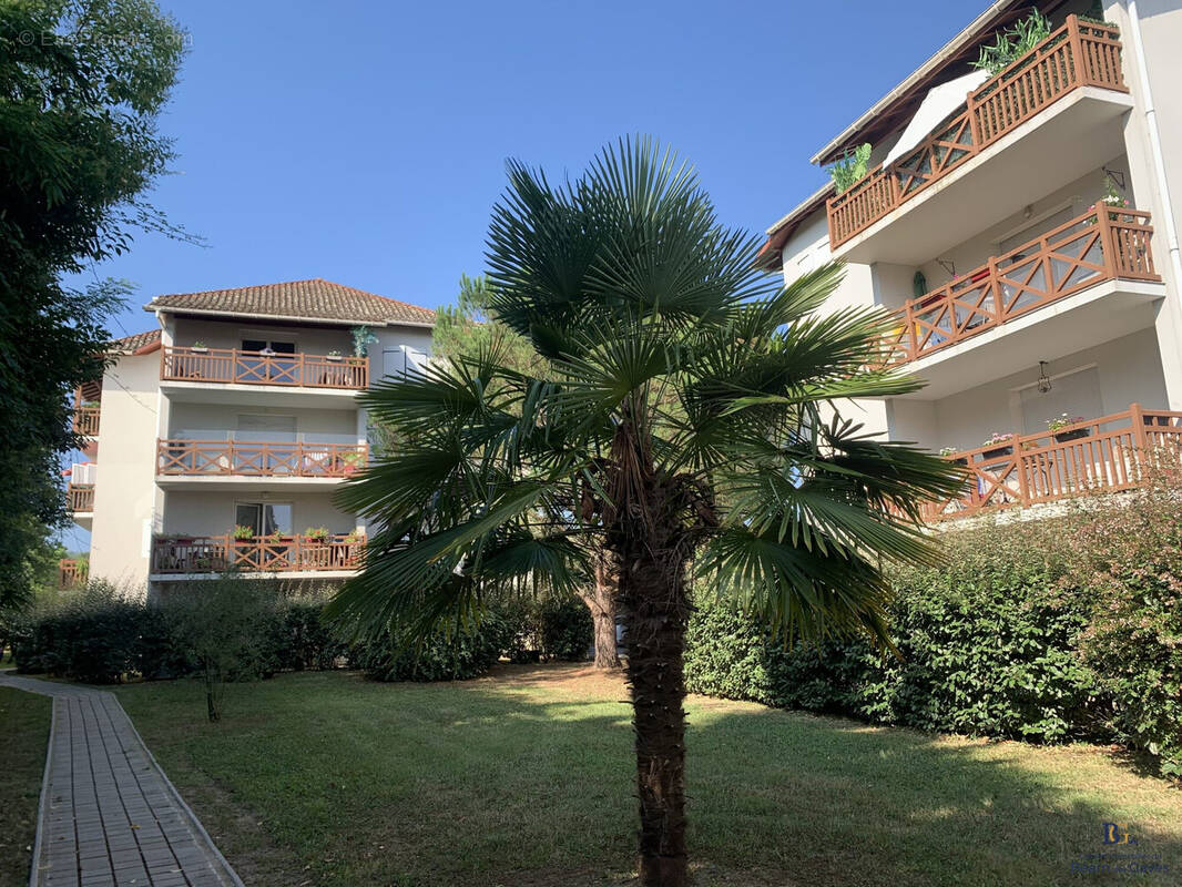 Appartement à SALIES-DE-BEARN