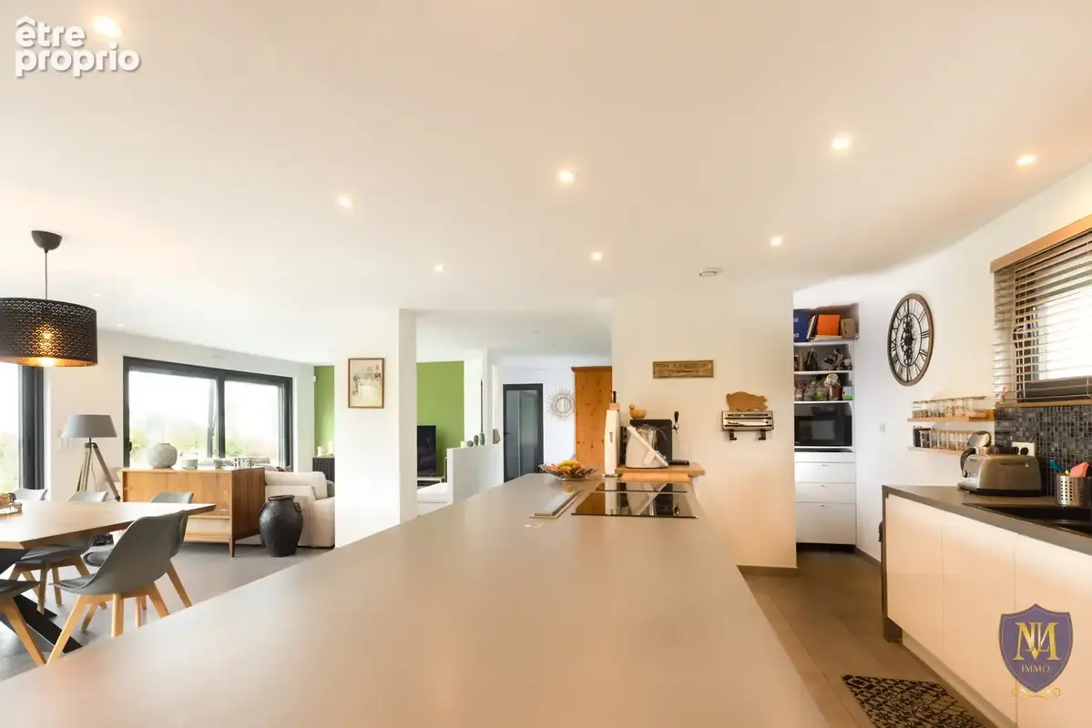 Rixheim au calme belle et lumineuse maison 9 pièces de 175 m2 sur 8,27 ares - photo 3