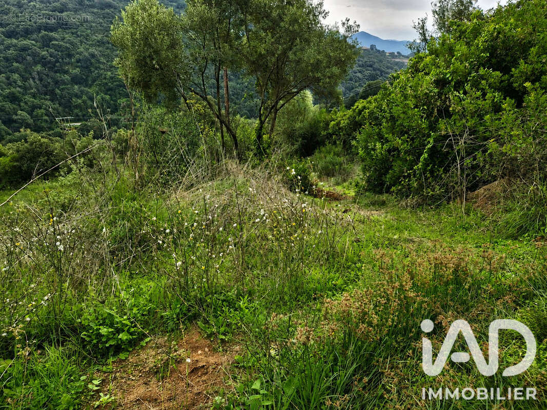 Photo 3 - Terrain à OCANA