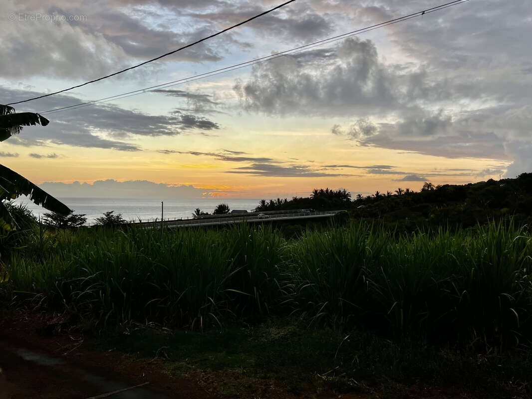 Maison à PETITE-ILE