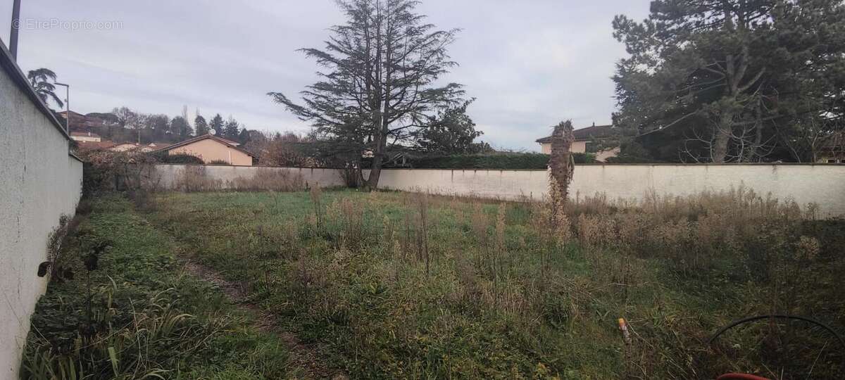 Terrain à TOUSSIEU