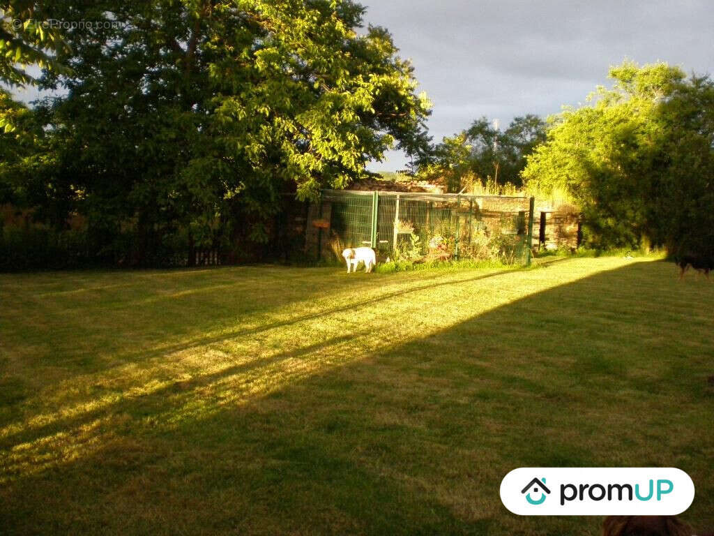 Maison à BUSSIERE-POITEVINE