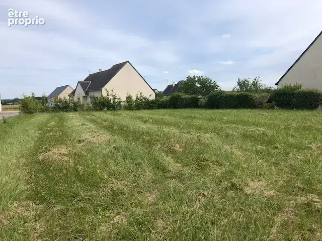 Terrain à LA CHAPELLE-BLANCHE-SAINT-MARTIN
