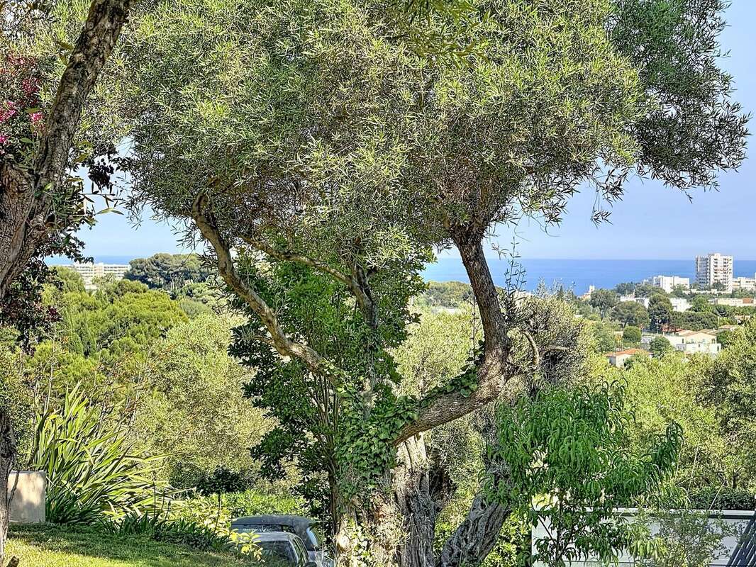 Maison à ANTIBES