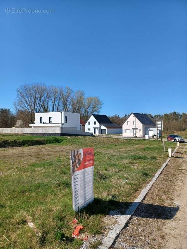 Terrain à SCHWEIGHOUSE-SUR-MODER