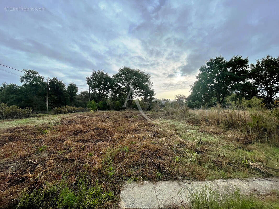 Maison à LE FENOUILLER